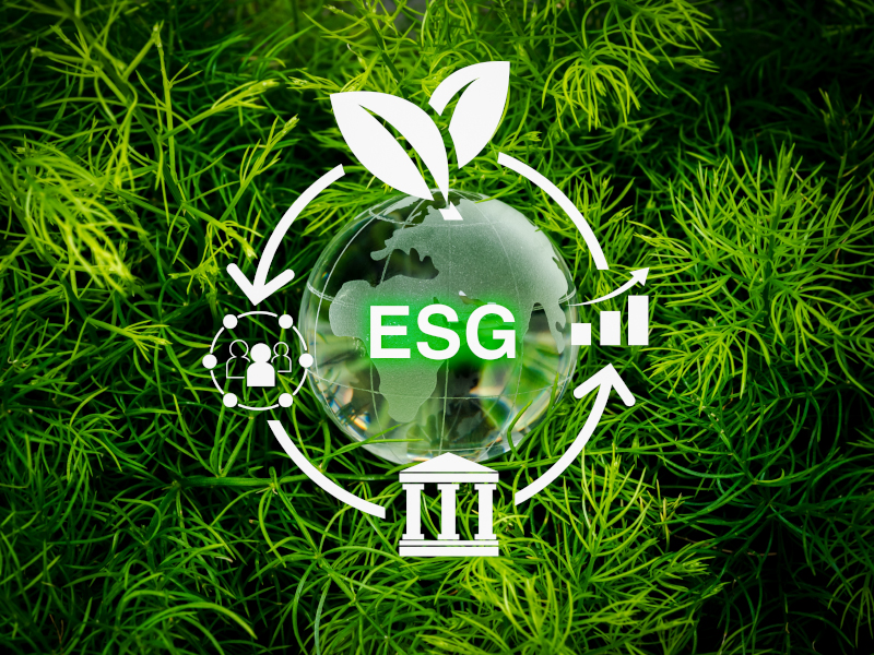 Sustentables